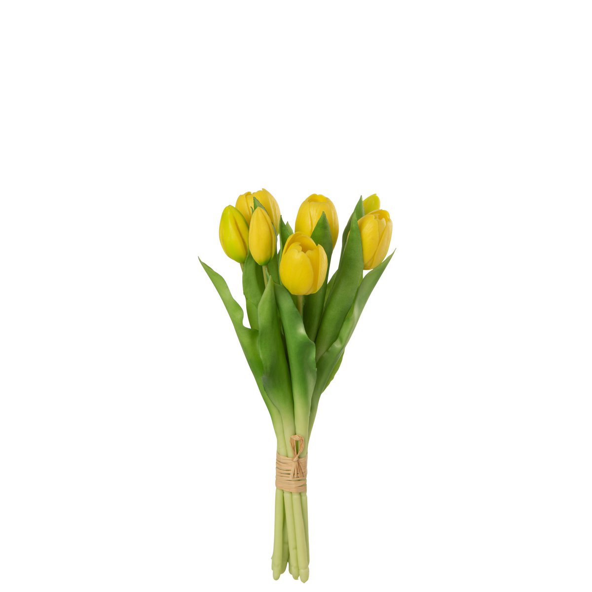 Bouquet de Tulipes Jaunes J-Line - Vue d'ensemble avec détails réalistes