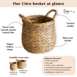 Panier à linge tissé rond - Hamper boho bulbeux - panier de plantes naturelles - Grande de stockage de jacinthe à grande eau (2 tailles) Citra