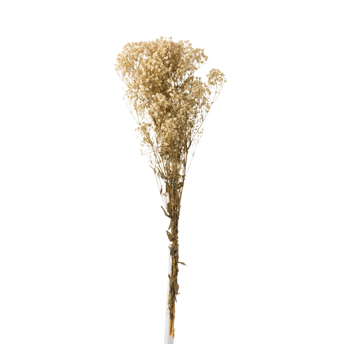 Vue rapprochée du matériau rotin du bouquet Gypsophilia Écru Séché