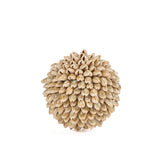 Le Gody Ball ravi - S