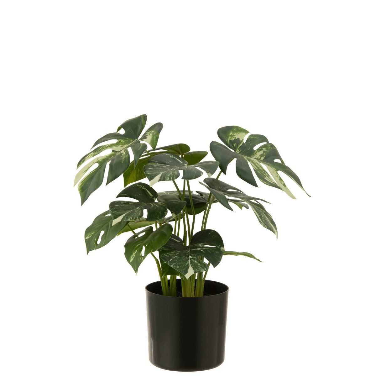 Ambiance intérieure avec la plante Monstera J-Line, style contemporain.