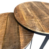 Table basse set de 2 table d'appoint table de salon ronde Austin structure métal argent antique ou noir