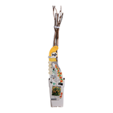 Campsis Summer Jazz 'Trumpet' - Ø15cm - ↕65cm