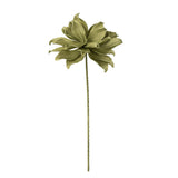 Fleur J-Line Eva en plastique vert, décoration élégante pour intérieur