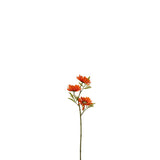 Fleur Marguerite Orange J-Line en décoration dans un salon moderne