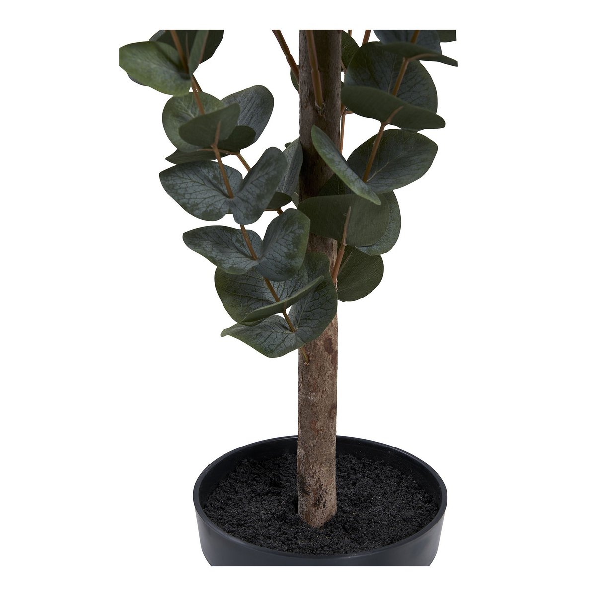 Eucalyptus artificiel en décoration dans un salon moderne