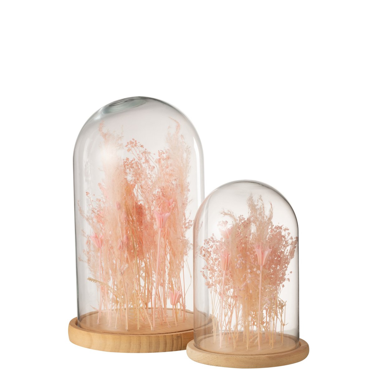 Cloche en verre et bois, détail des fleurs séchées à l'intérieur