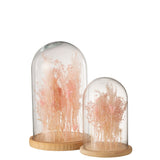 Cloche en verre et bois, détail des fleurs séchées à l'intérieur