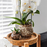Maison Colibri | Pot Safari - 12 - Ø12cm