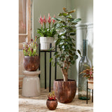 Support pour plantes Ascot Noir