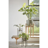 Support pour plantes Ascot Noir