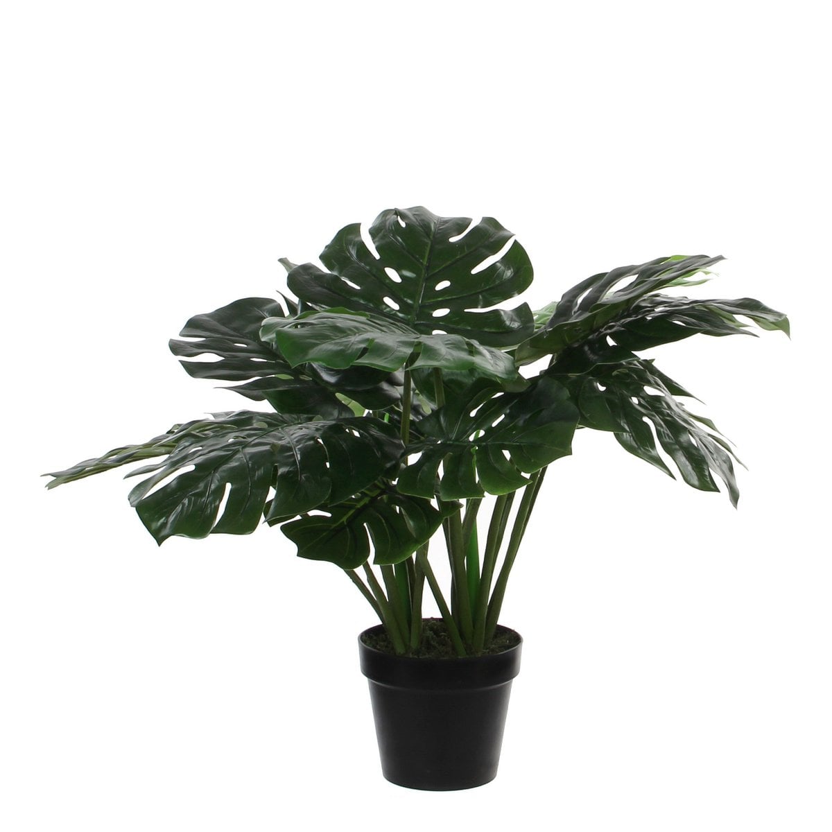 Plante artificielle Monstera verte avec feuilles détaillées