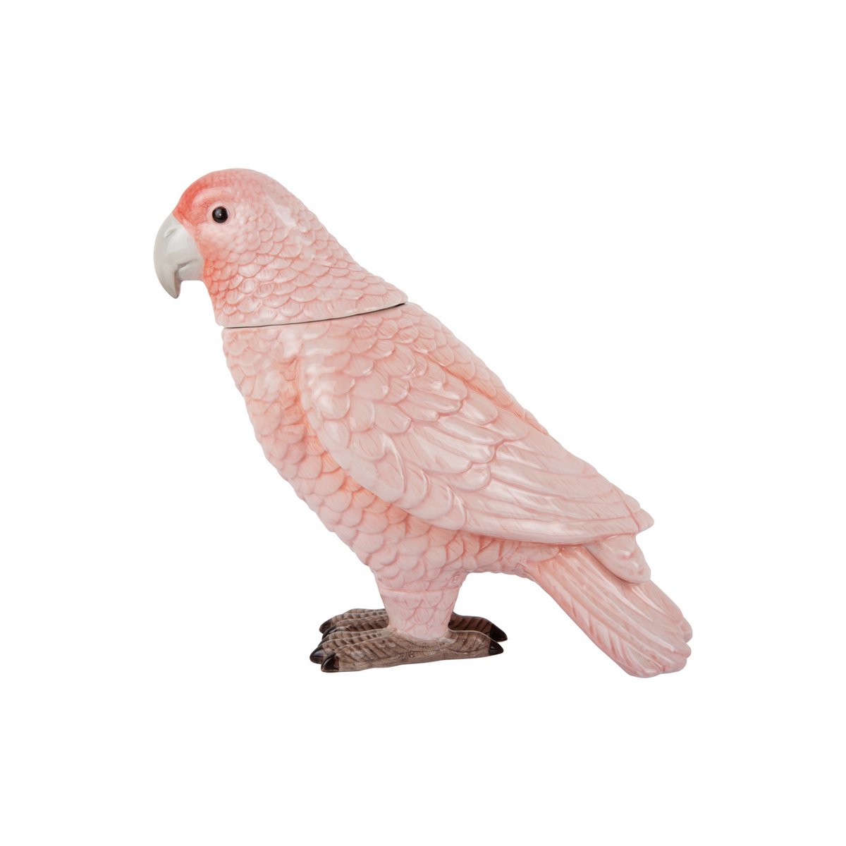Pot de Rangement Oiseau, détail du bec et des ailes