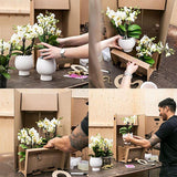 Orchidée Phalaenopsis blanche en pot 9 cm