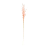Branche Plume Pampas Rose Clair de J-Line, élégante et naturelle