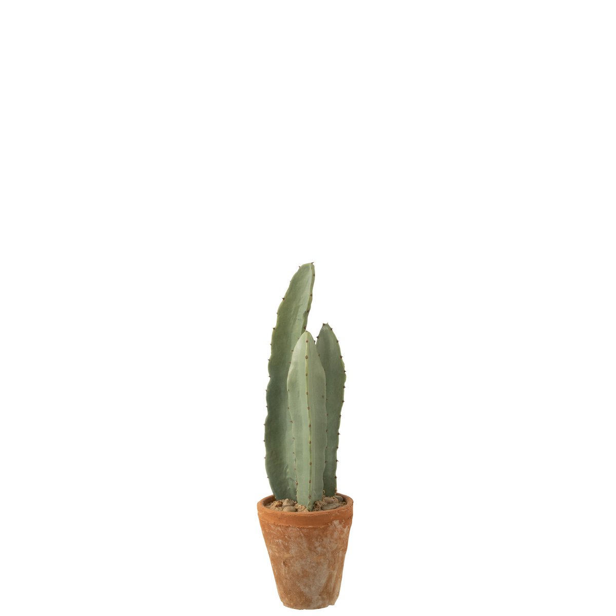 Cactus J-Line, mise en scène dans un salon contemporain
