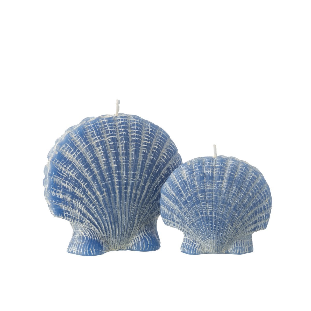 Bougie Coquillage Cire Bleu Large de J-Line, design élégant en forme de coquillage.