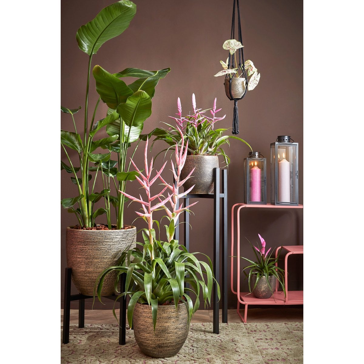 Support pour plantes Ascot Noir avec pot de 32 cm