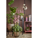 Support pour plantes Ascot Noir avec pot de 32 cm