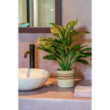 Plante artificielle Evergreen vert