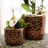 Home Kolibri | Leopard Sierpot - Ø6cm
