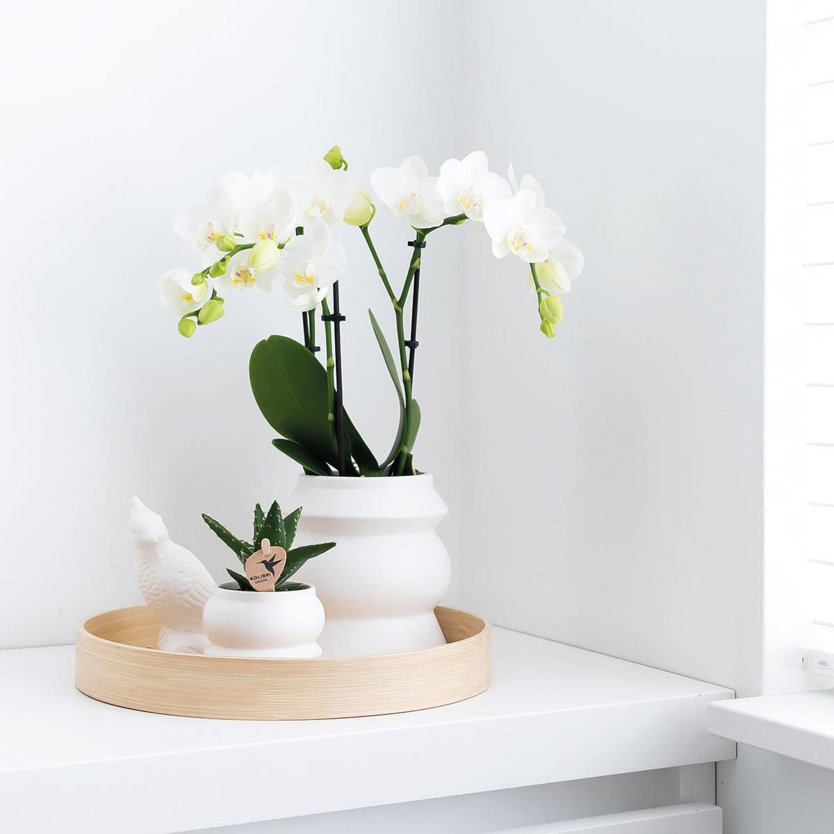 Plateau rond en bambou naturel diamètre 30 cm