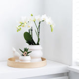 Plateau rond en bambou naturel diamètre 30 cm
