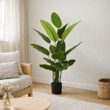 Plante artificielle Canna en situation