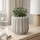 Pot de fleur en situation