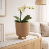 Pot de fleurs style moyen en situation