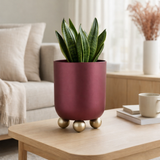 Pot de fleurs style moyen en situation