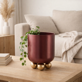 Cache-Pot Estilo Petit en situation