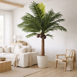 J-Line Palmier 4Coconut En Pot Plastique Vert en situation