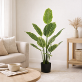 Plante artificielle Calathea grande en situation