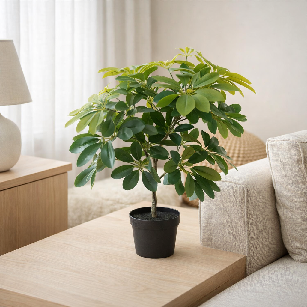 Plante Artificielle Schefflera en situation