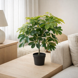 Plante Artificielle Schefflera en situation