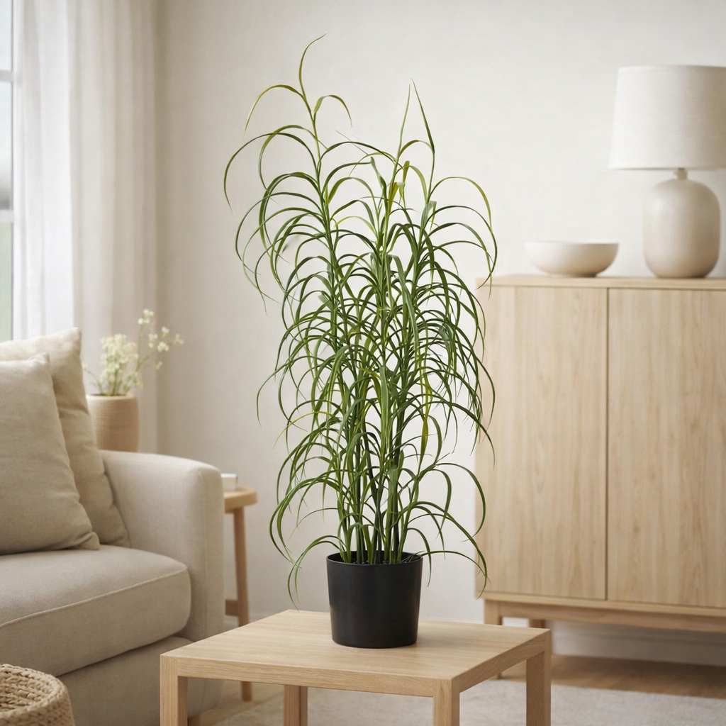 Plante herbacée, verte, H:68 cm en situation