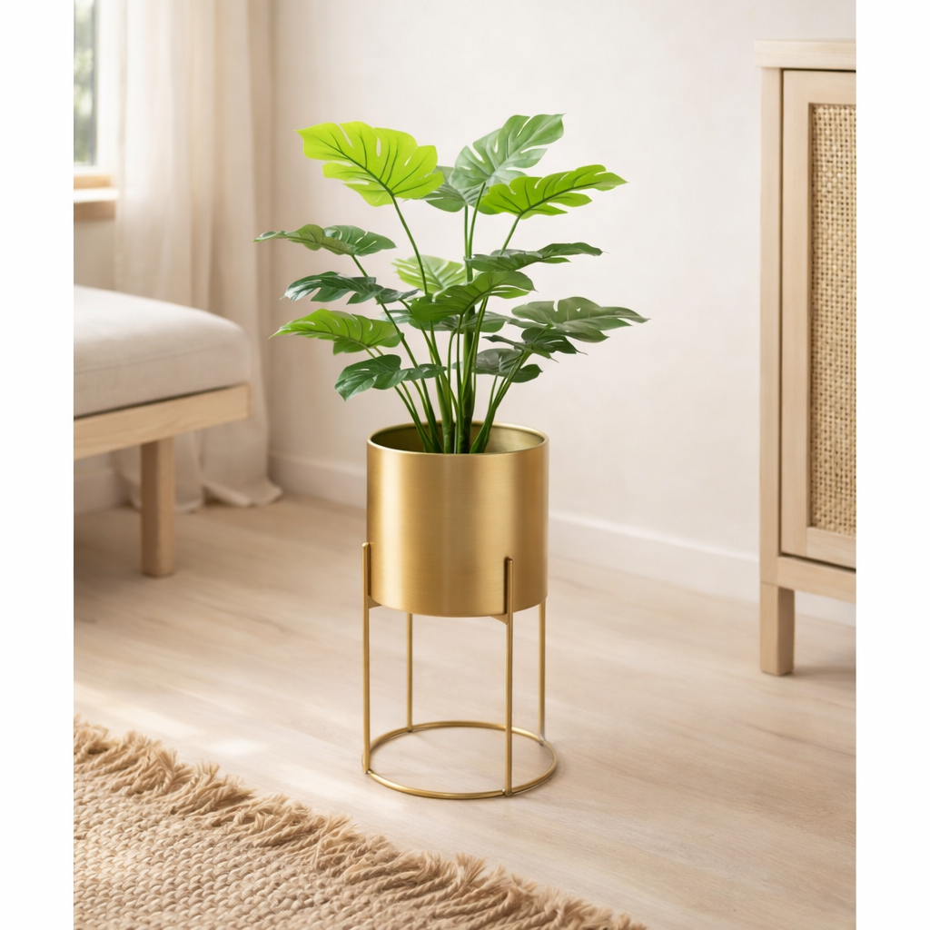 J-Line Philodendron En Pot Plastique Vert Petit en situation