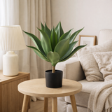 Plante artificielle succulente en situation