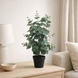 Feuille d'eucalyptus artificielle en situation