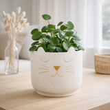 J -Line Flowerpot Cat - Ciment - Blanc / Gold - Grand - Ø 19 cm en situation