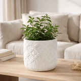 J -line Flowerpot vérifié - Ciment - blanc - Moyen - Ø 20 cm en situation