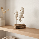 J -line Decoration Sea Horse 3 à pied - Bois - Blanc / Naturel en situation