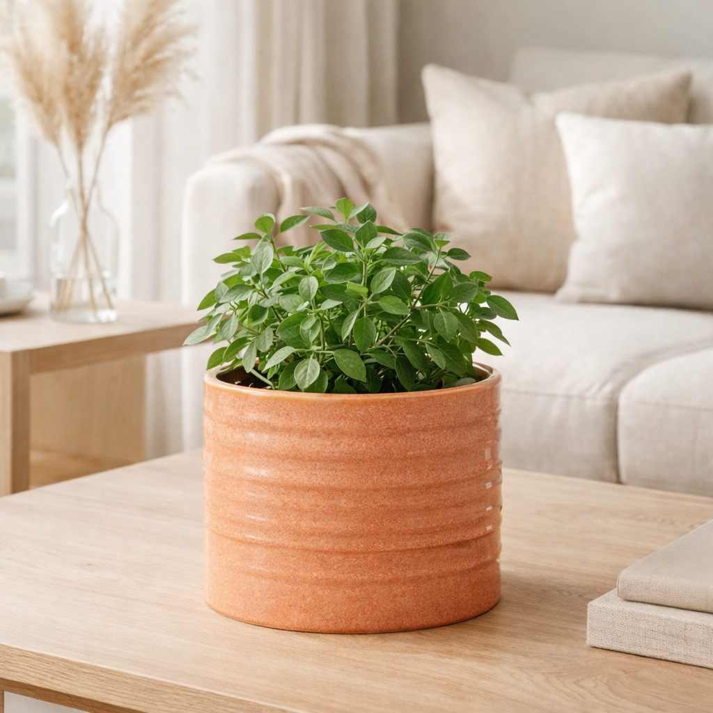 Pot de fleurs J-Line uni rond en céramique pamplemousse grand en situation