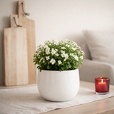 Pot de fleur J-Line Rond - céramique - blanc - XS - Ø 12 cm en situation
