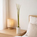 J-Line Bamboo Bundle Vert S en situation