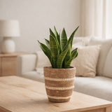 J -line Flowerpot tressé - Ciment - Brown - Grand - Ø 18 cm en situation