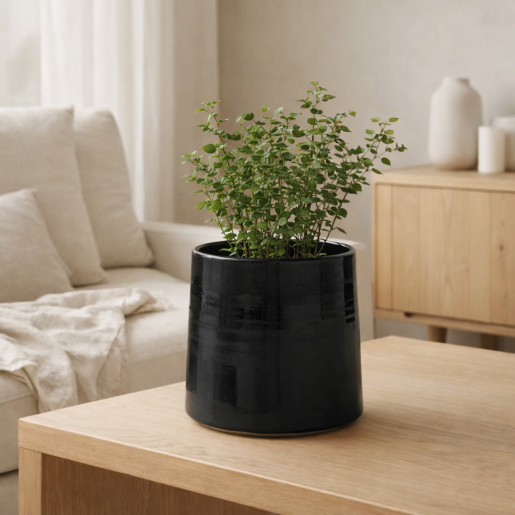 Pot de fleur J-Line Rond - céramique - noir - moyen - Ø 23,00 cm en situation