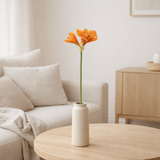 J-Line Amaryllis 3 Fleurs Plastique Orange Clair en situation
