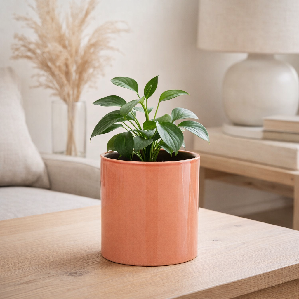 J -line Flowerpot Flek - Ceramics - Pink - Extra Small - Ø 14,5 cm en situation